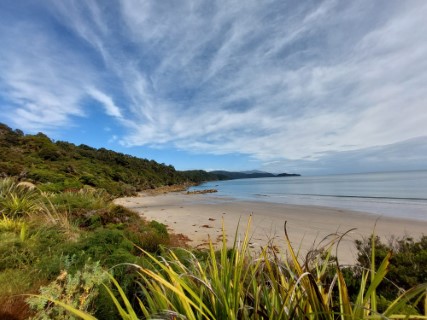 Rakiura Track Photo 1