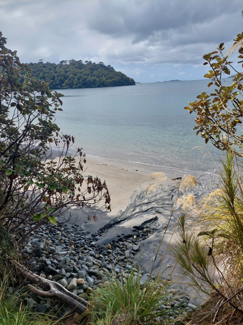 View from Rakiura Track