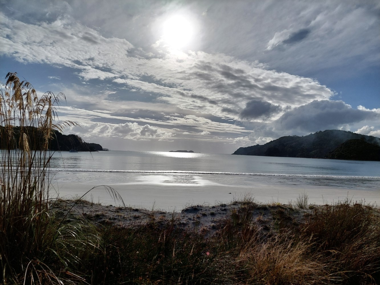 View of Rakiura Track