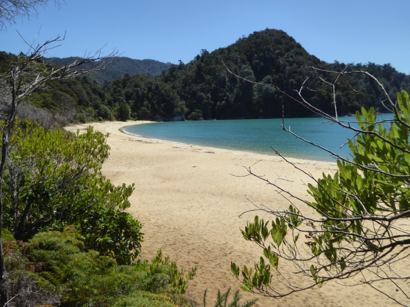 Beach on the Able Tasman Track