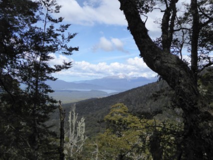 Kepler Track Photo 1