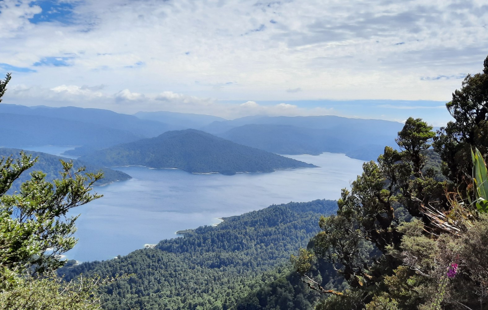 View of Lake Waikaremoana