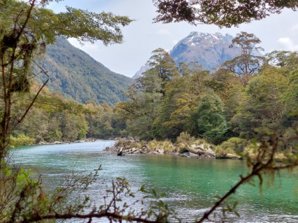 View of Milford Track