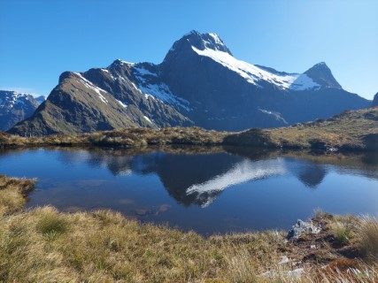 View of Milford Track