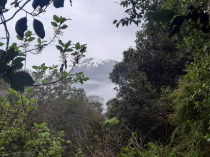 View of Milford Track