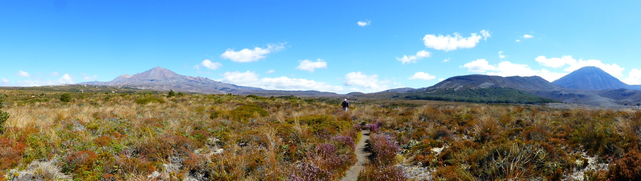 View of Tongariro National Park