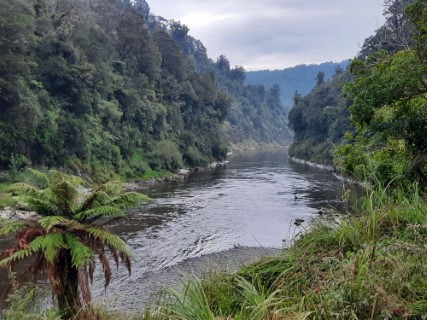 Wanganui River Photo 1