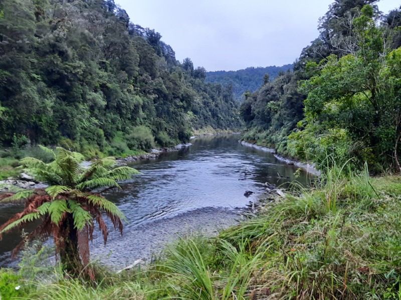 View of Wanganui River