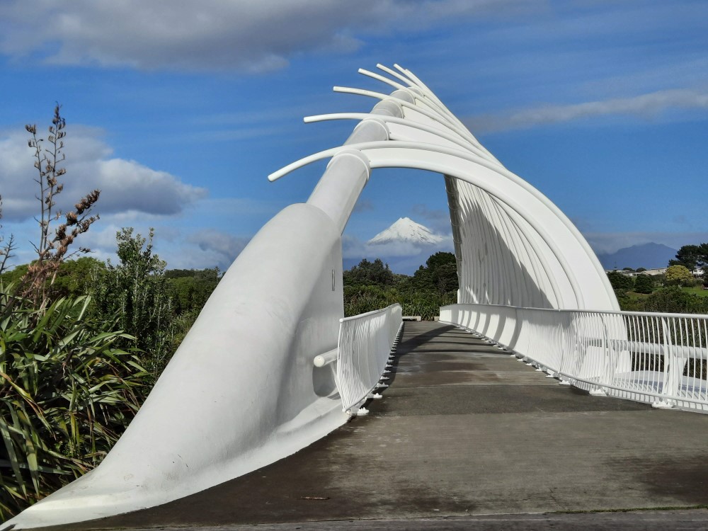 Taranaki Costal Walk Whale Ribs