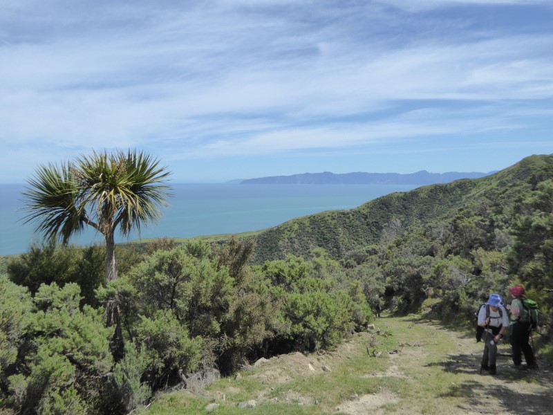 Wairarapa Coast