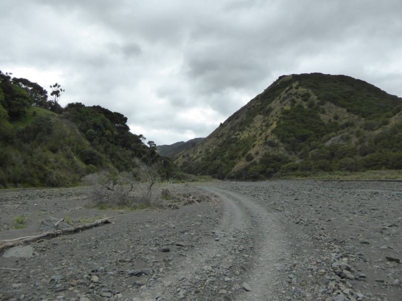 Kawakawa Station - river bed