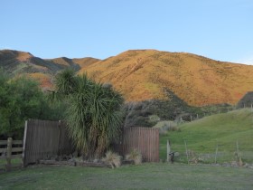 Photo of beautifully Kawakawa Station