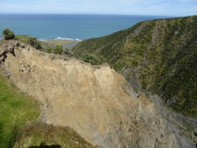 Photo of beautifully Kawakawa Station