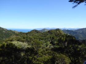 Photo of beautifully Kawakawa Station