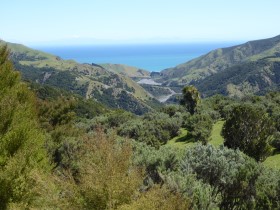 Photo of beautifully Kawakawa Station