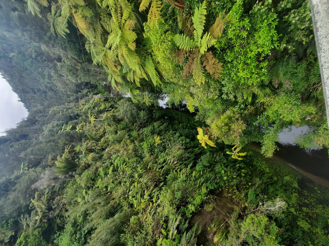 Kawakawa Station - river bed