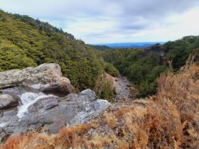 Photos of Ohakune Region NZ