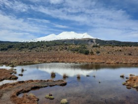 Photos of Ohakune Region NZ