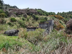 Photos of Ohakune Region NZ