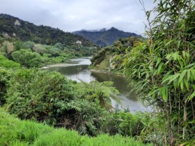 Photos of Ohakune Region NZ