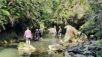 Patuna Chasm Walk Wairarapa New Zealand