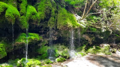 Patuna Chasm Walk Wairarapa New Zealand