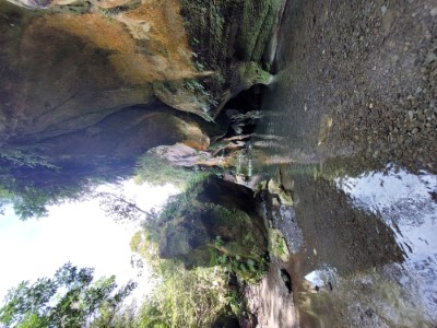 Patuna Chasm Walk Wairarapa New Zealand