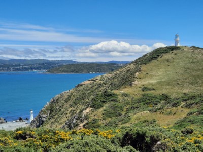 View from around Pencarrow lighthouse