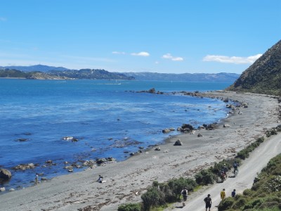 View from around Pencarrow lighthouse