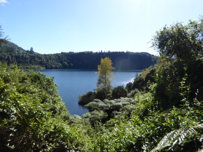 View of Tarawera Lake and Trial