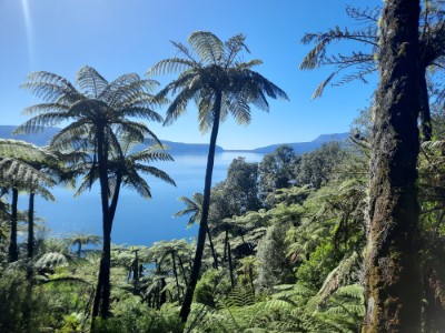 View of Tarawera Lake and Trial