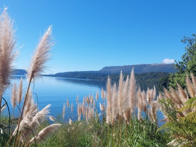 View of Tarawera Lake and Trial