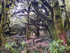 Photos of Taranki Region NZ