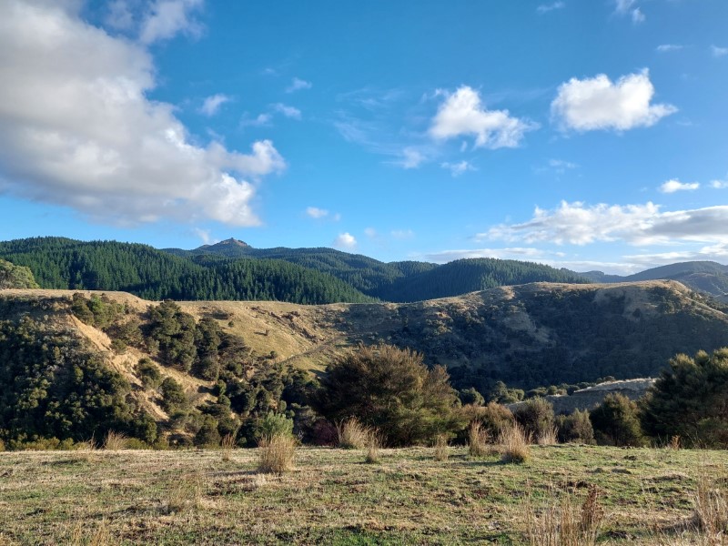 Wairarapa Coast