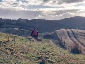 Tora Coastal Walk Wairarapa New Zealand