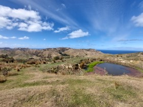 Tora Coastal Walk Wairarapa New Zealand