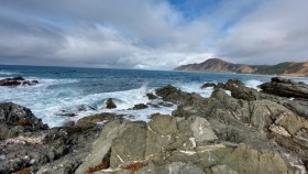 Tora Coastal Walk Wairarapa New Zealand