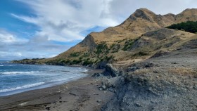 Tora Coastal Walk Wairarapa New Zealand