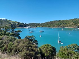 Photos of beautifully Waiheke Island