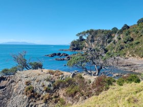 Photos of beautifully Waiheke Island