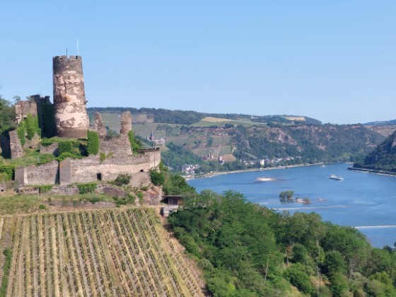 Castles of the Rhine