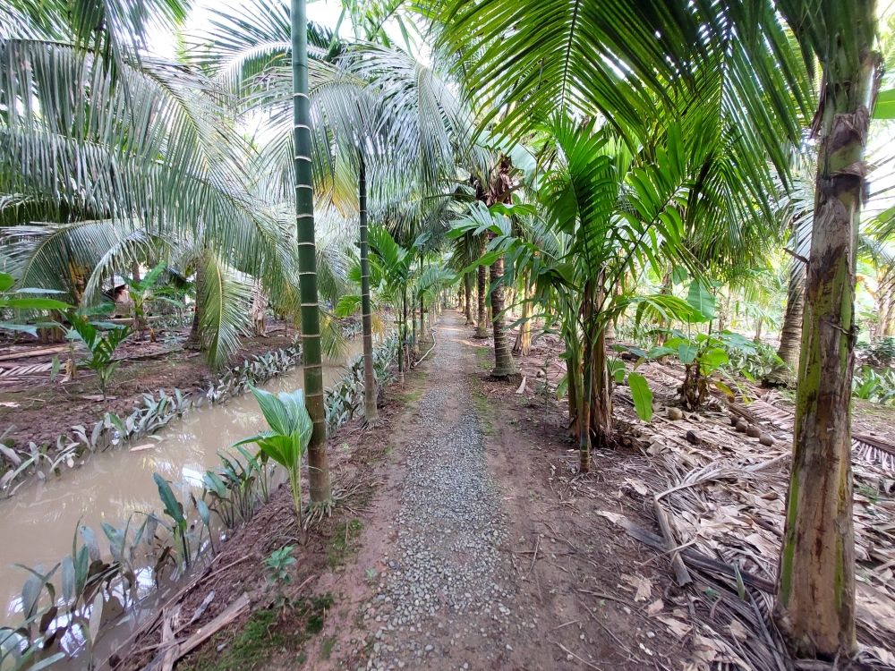 Mekong Delta