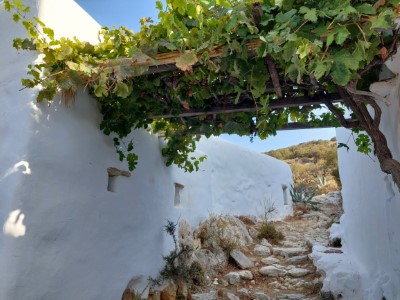 Amorgos - Around Aegialis