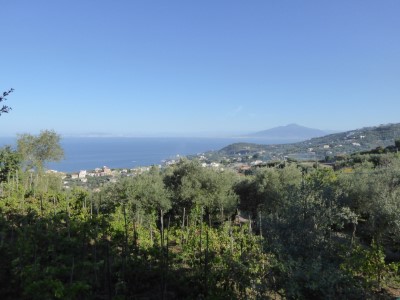 Amalfi Coast