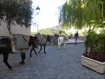 Around Ravello