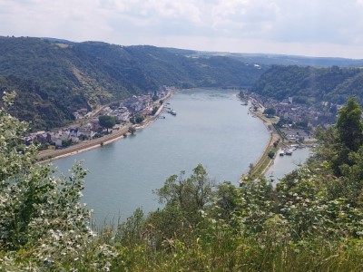 Rhine Valley