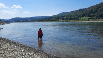 Rhine Valley