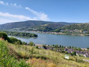 Rhine Valley