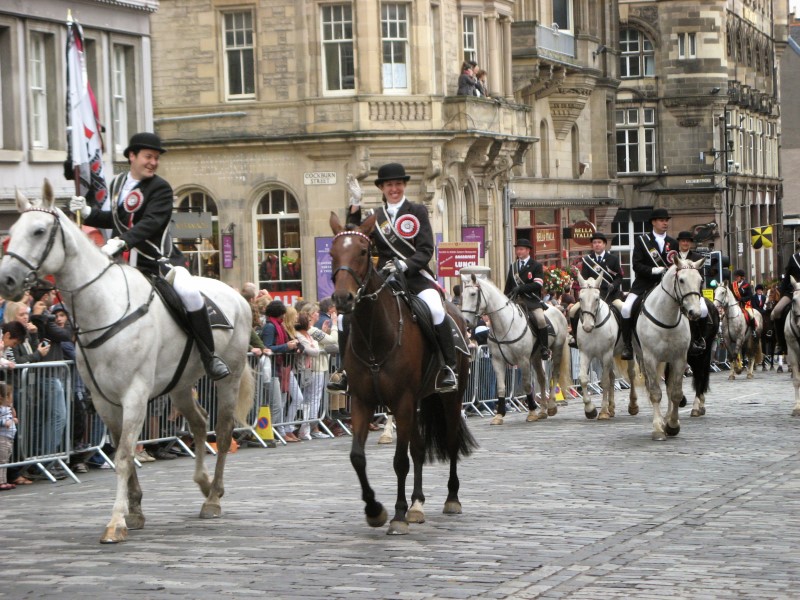 Horses in Edinburgh