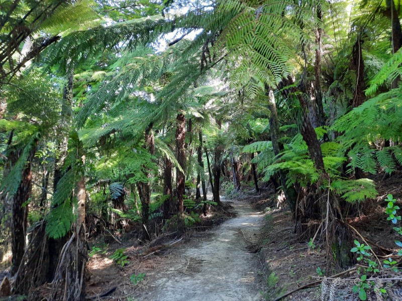 Marlborough Sounds